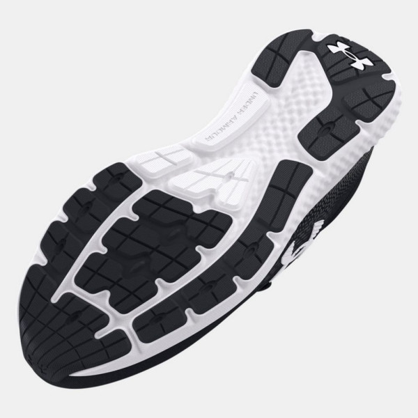 Кросівки чоловічі Under Armour Charged Rogue 4 (3026998-001)