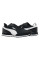 Кросівки чоловічі Puma St Runner V3 Nl (38485701)
