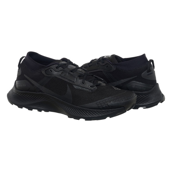 Кросівки чоловічі Nike Pegasus Trail 3 Gore-Tex (DC8793-001)