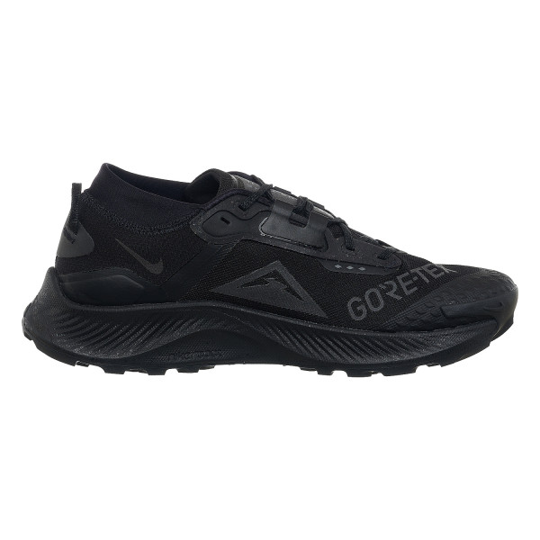 Кросівки чоловічі Nike Pegasus Trail 3 Gore-Tex (DC8793-001)