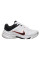 Кросівки чоловічі Nike Defyallday (DJ1196-101)