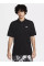 Футболка чоловіча Nike Club (FN3894-010)