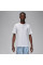 Футболка чоловіча Jordan Dri-Fit Sport Performance (FN5829-100)