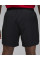 Шорти чоловічі Jordan Dri-Fit Sport (FN5842-010)