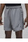 Шорти чоловічі Jordan Sport Men's Dri-Fit (FN5842-084)